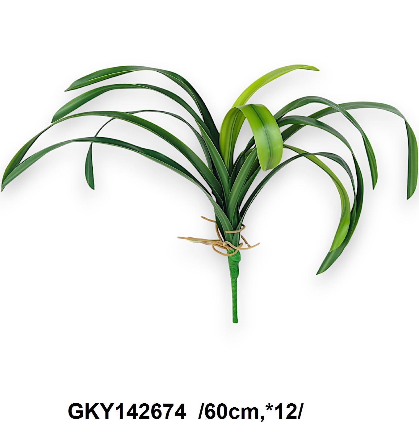 GKY142674