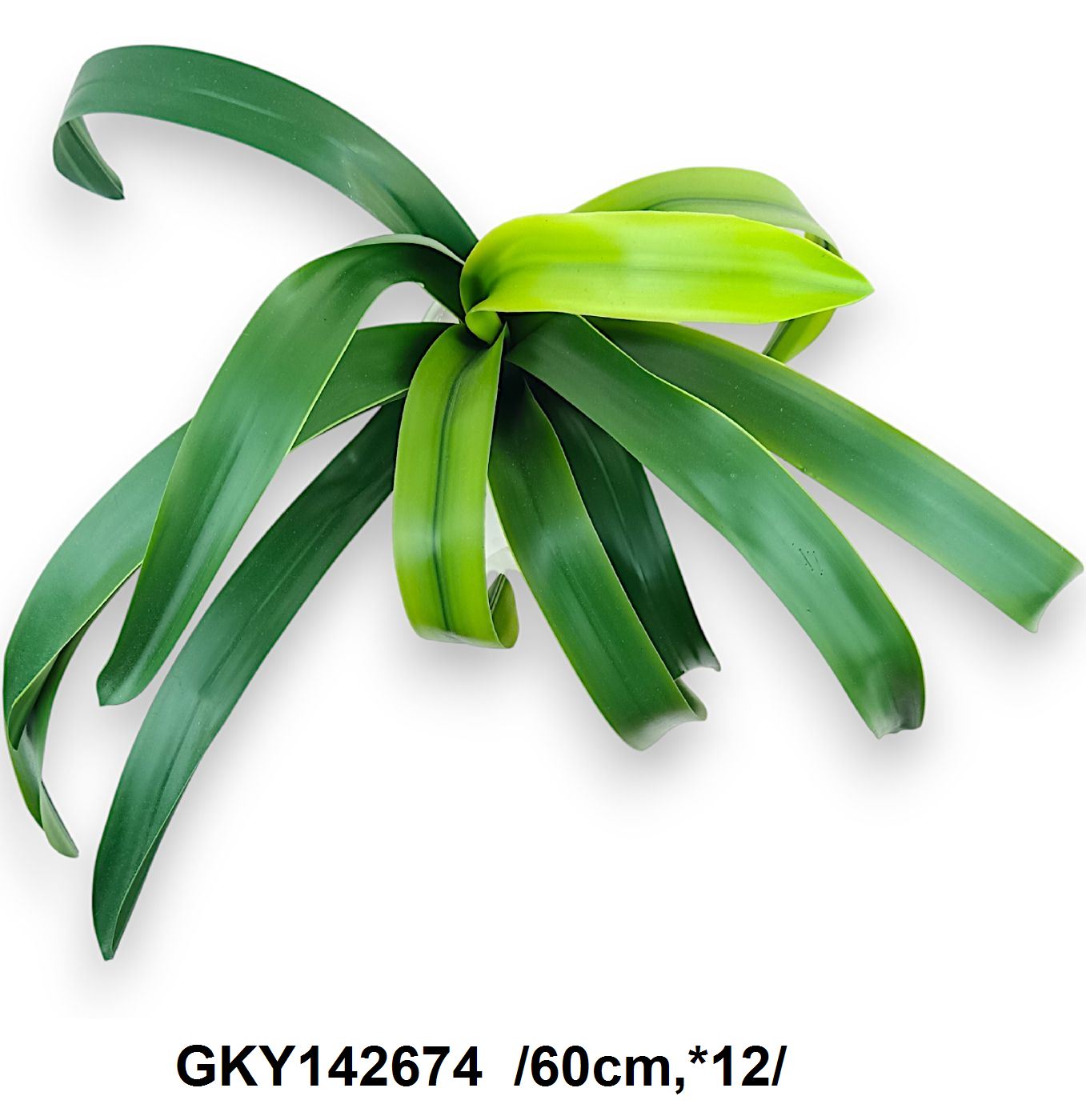 GKY142674