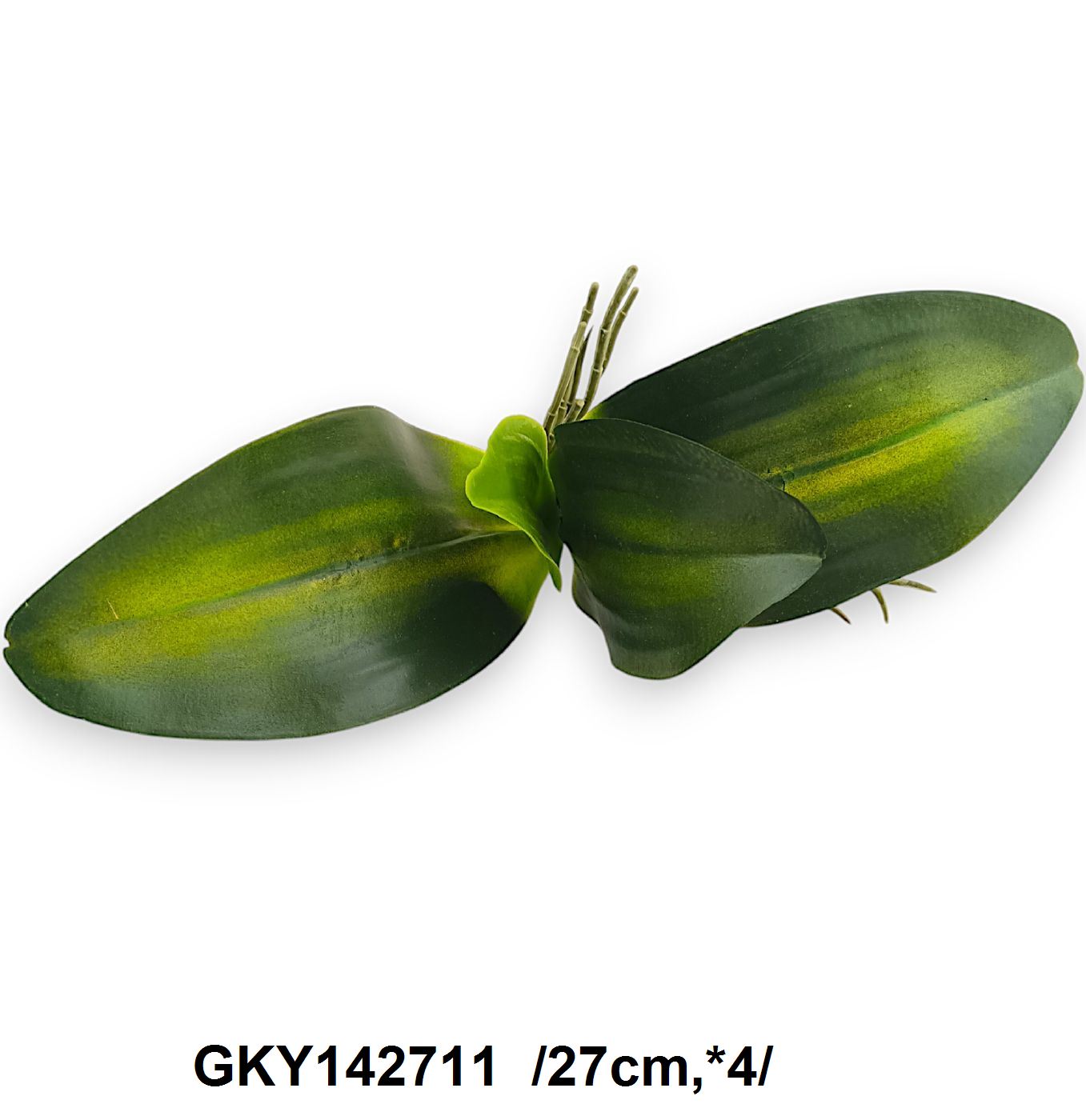 GKY142711
