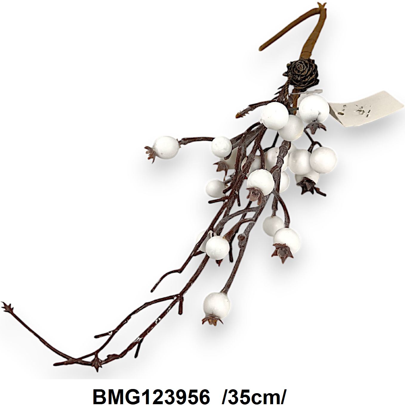 BMG123956