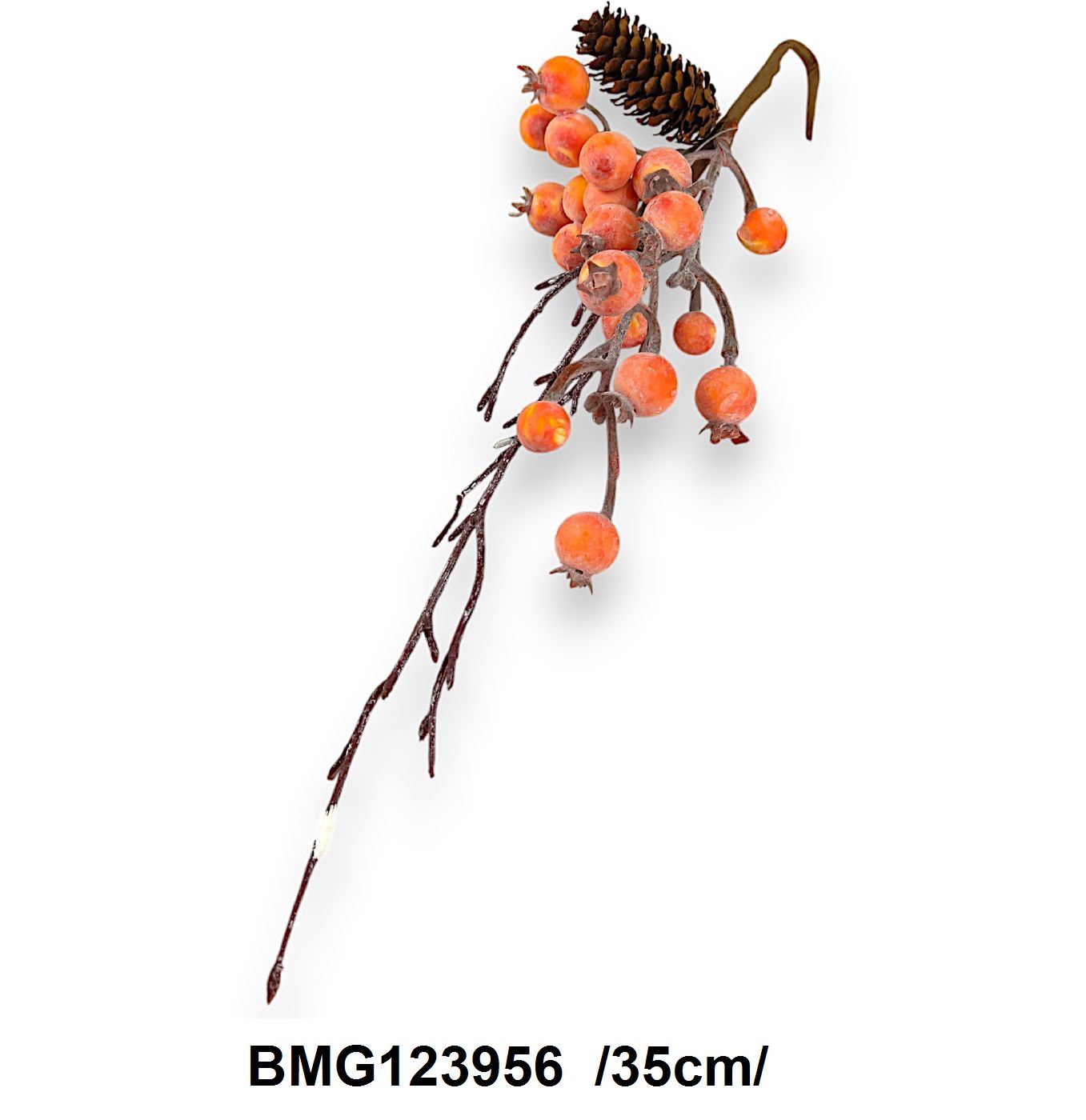BMG123956