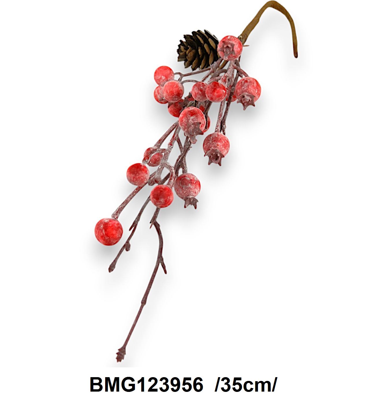 BMG123956