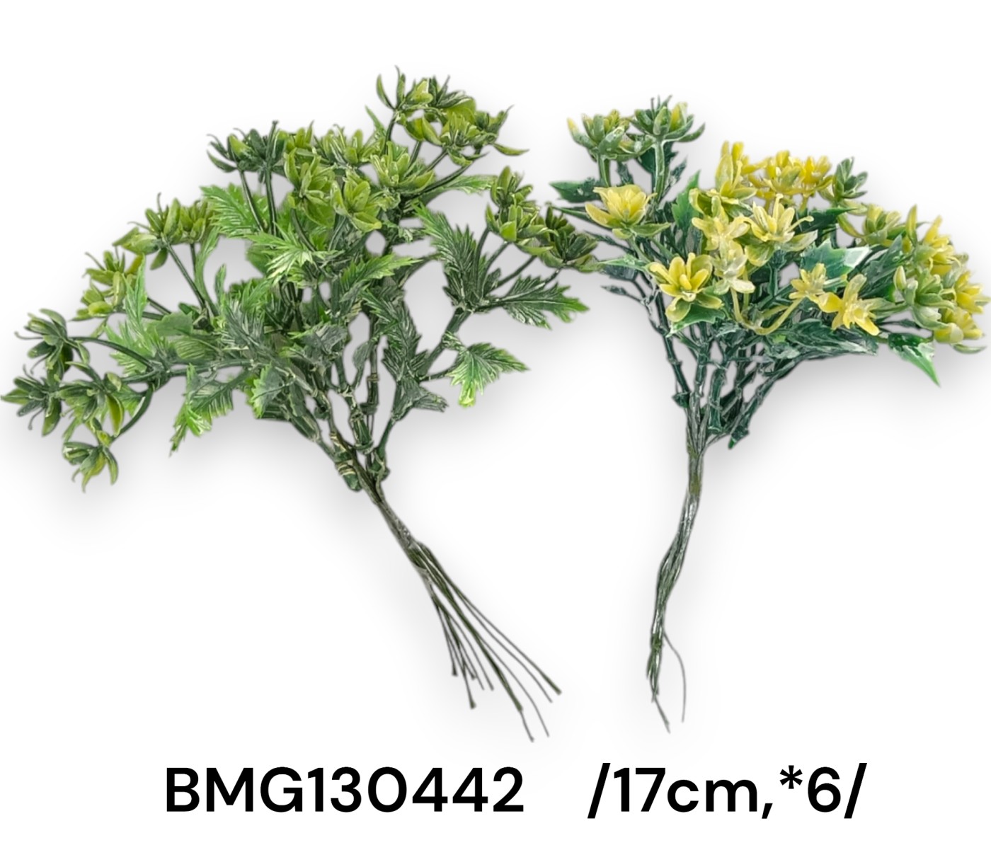 BMG130442