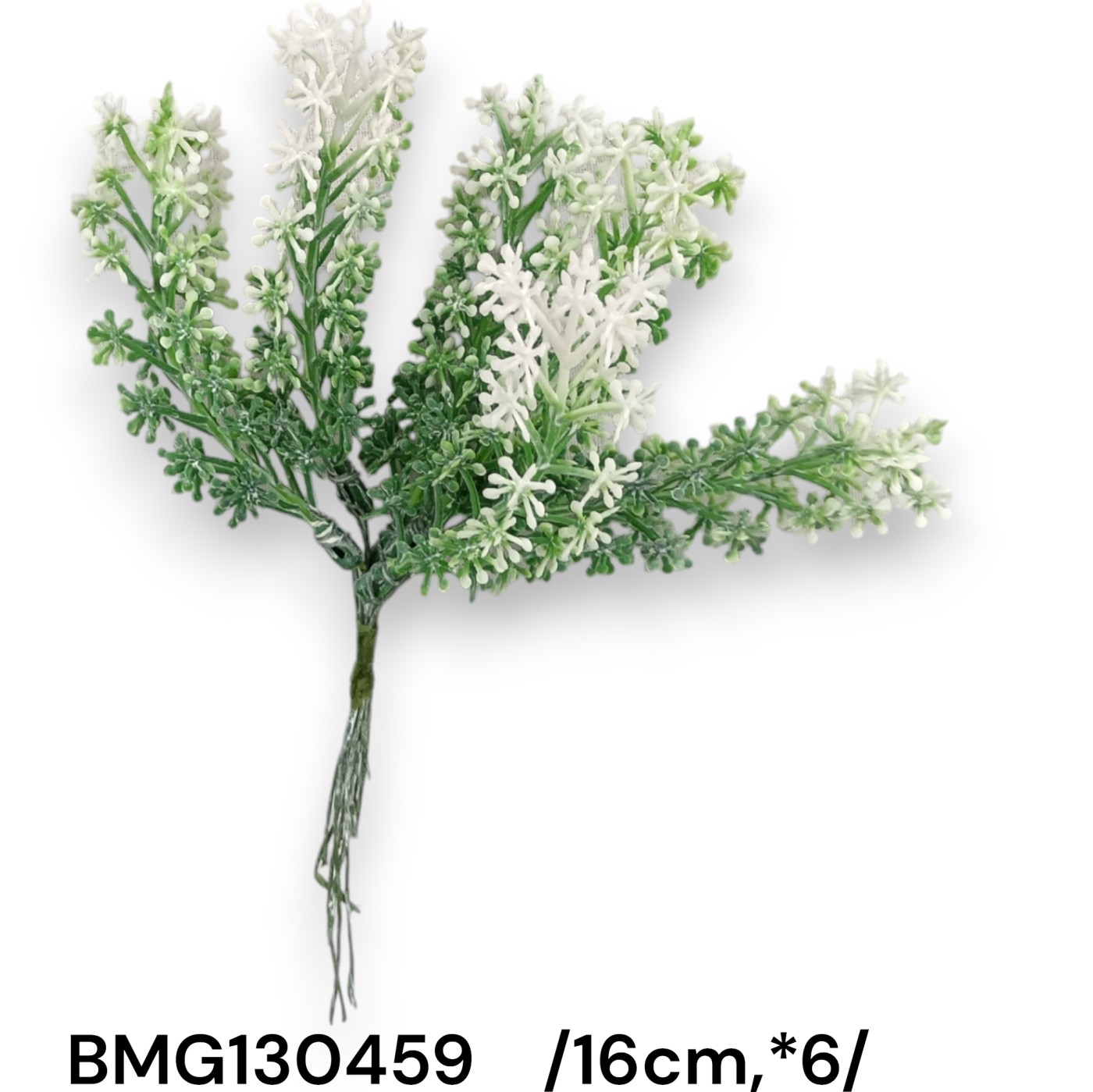 BMG130459