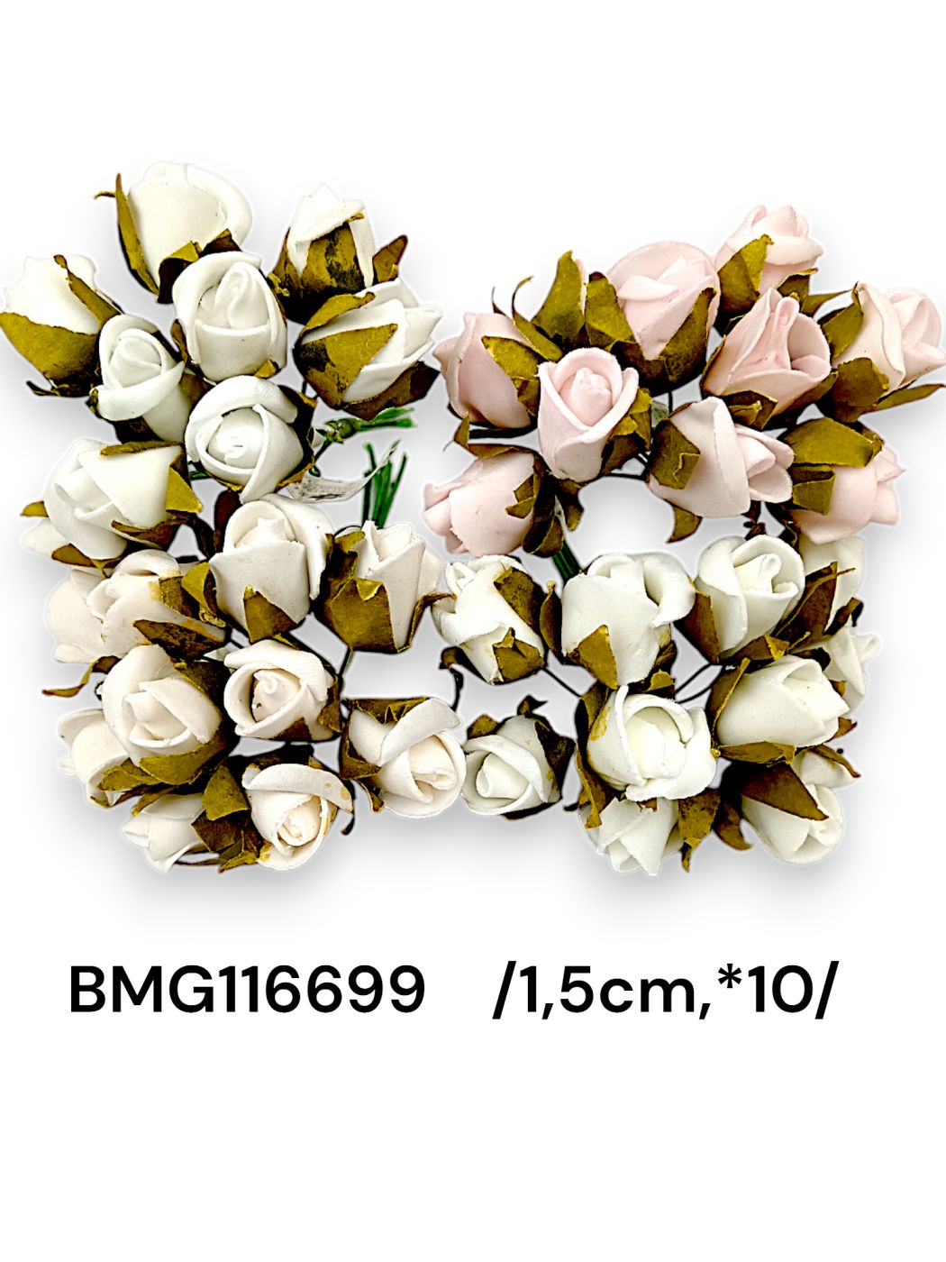 BMG116699