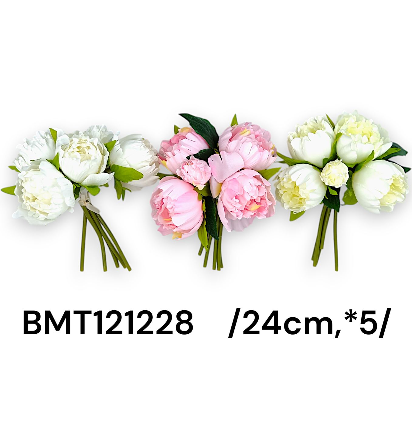 BMT121228
