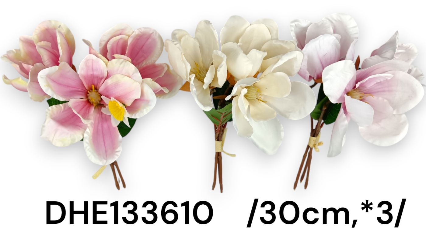 DHE133610