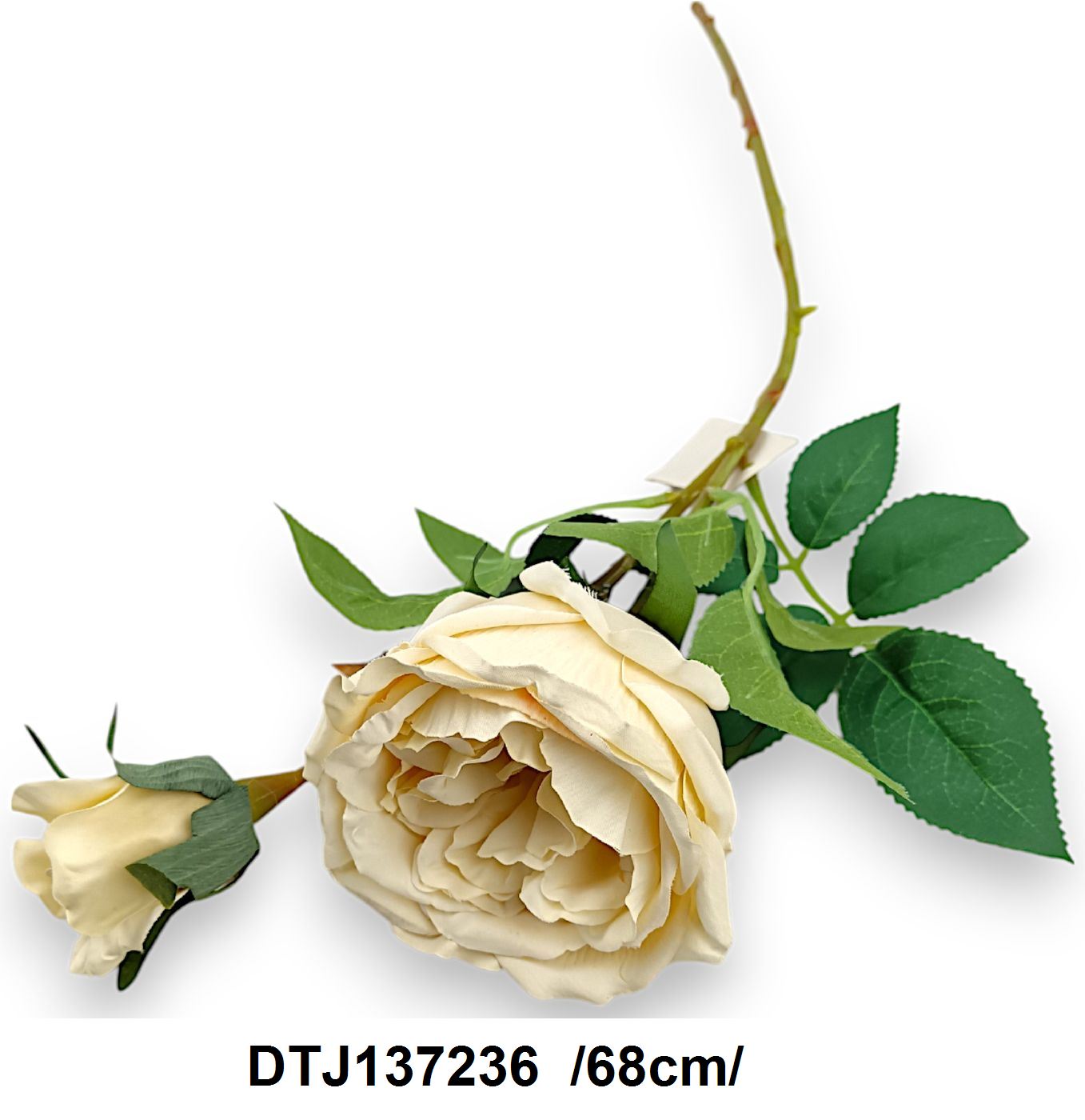 DTJ137236