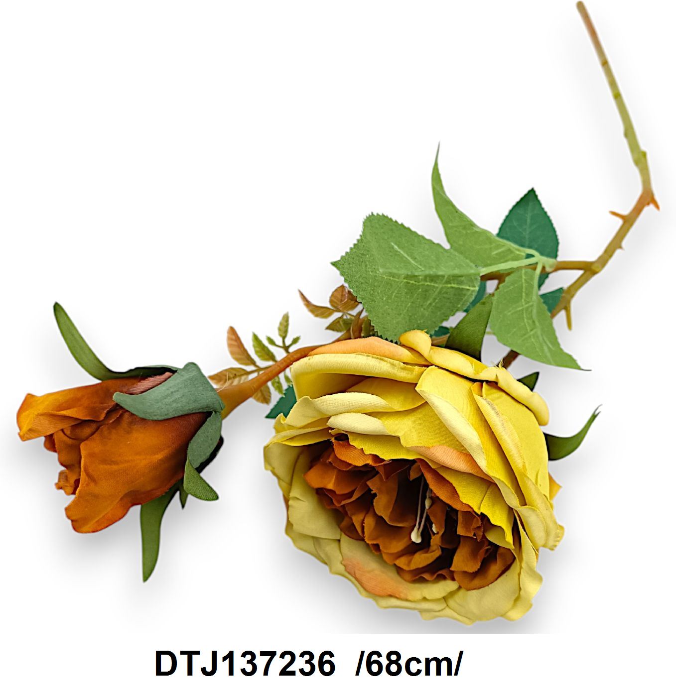 DTJ137236
