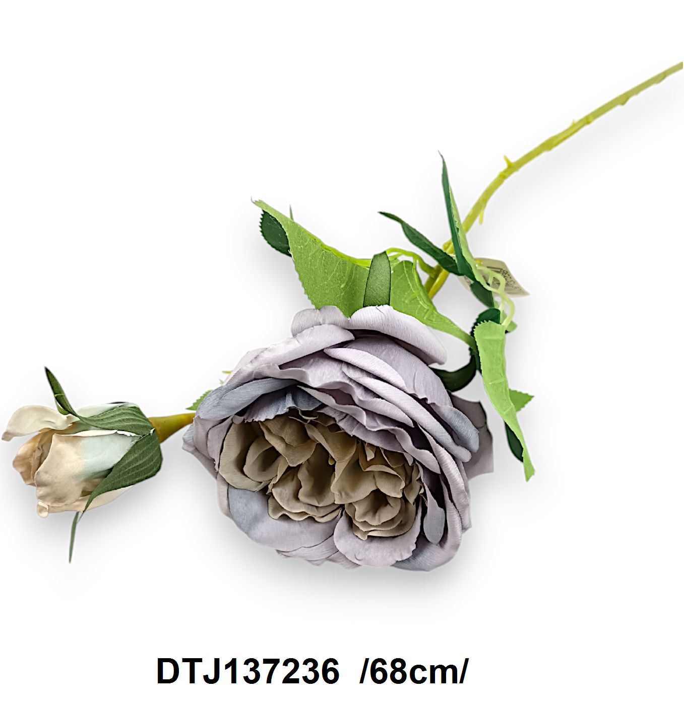 DTJ137236