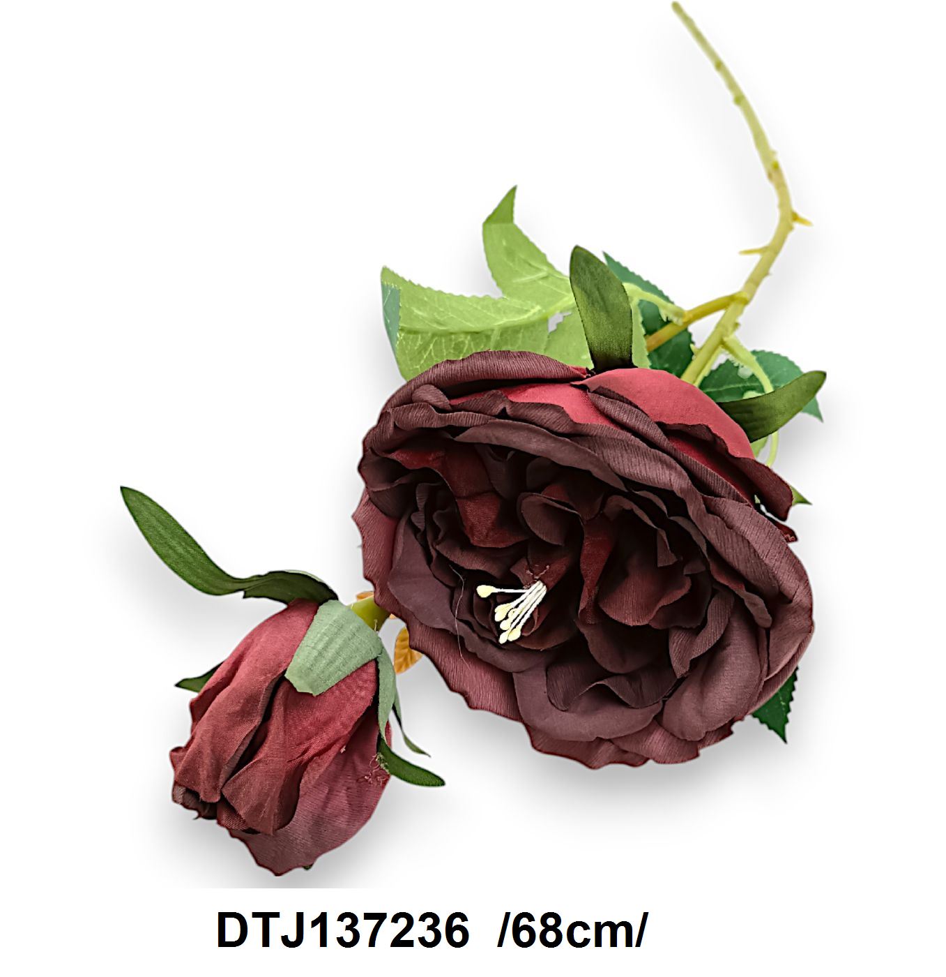 DTJ137236