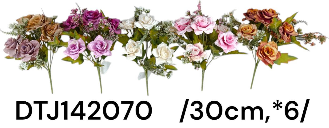 DTJ142070