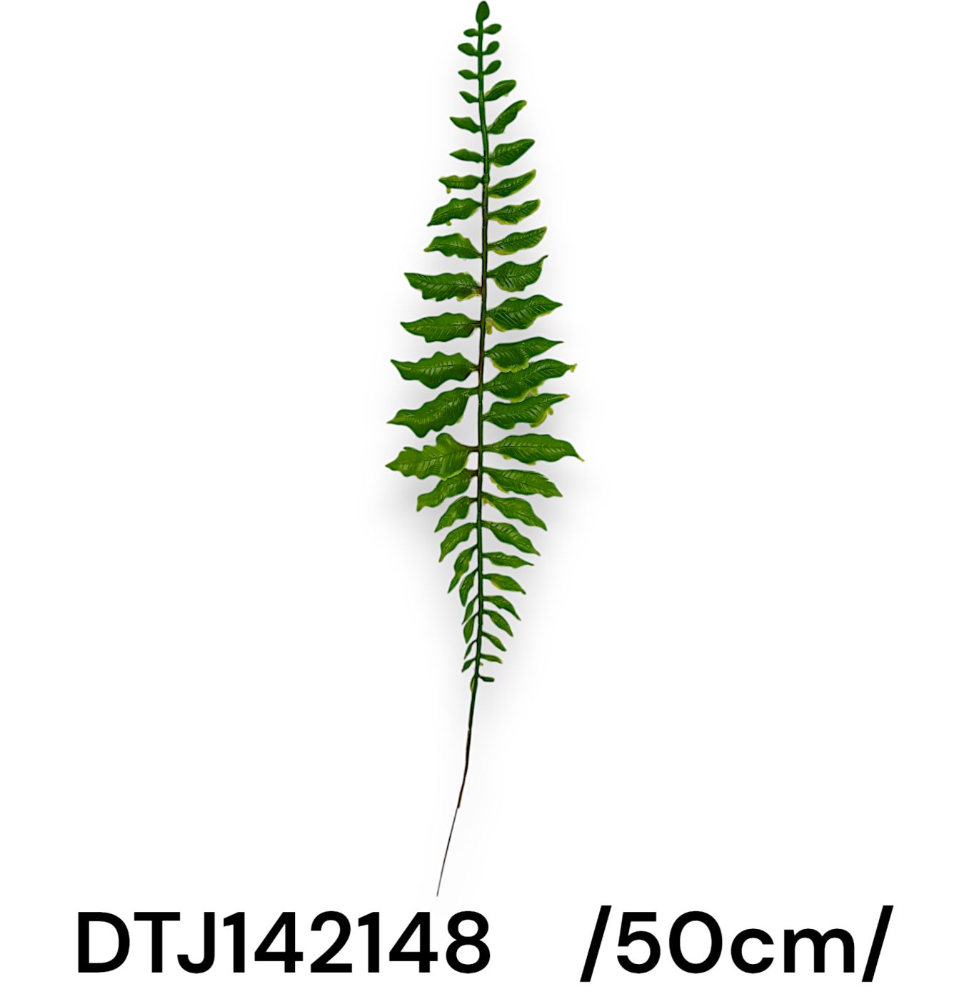 DTJ142148