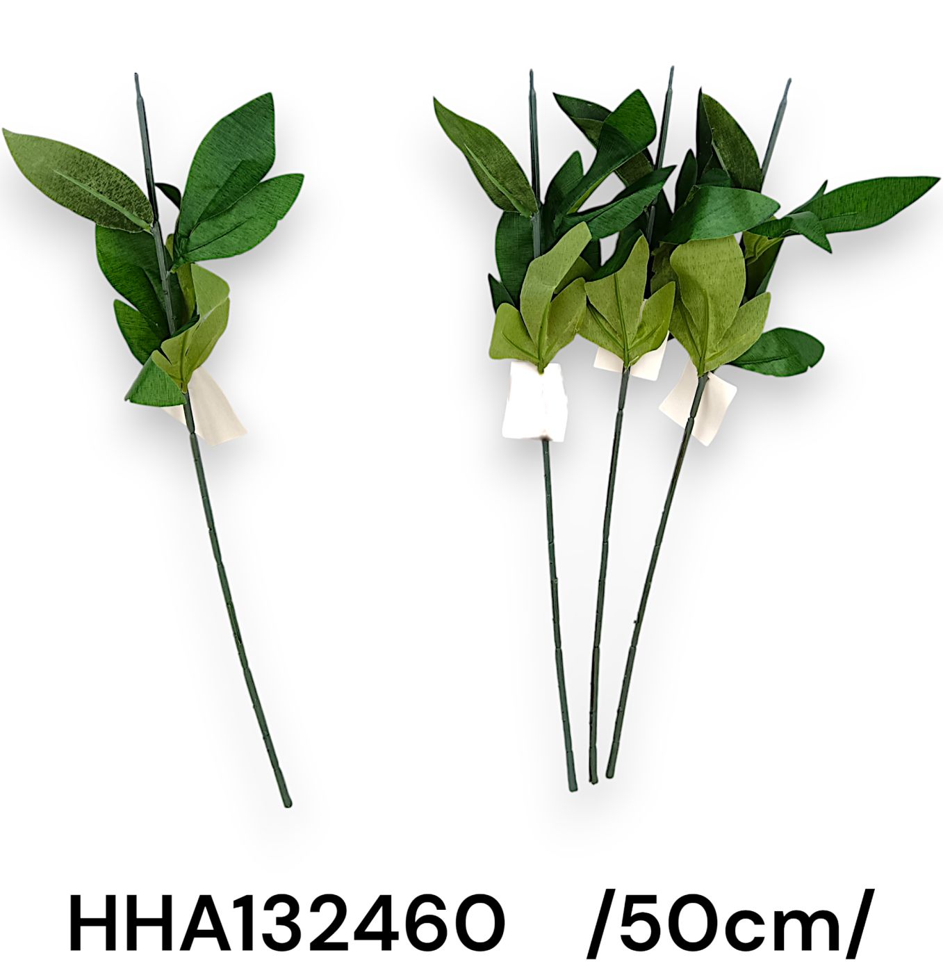 HHA132460