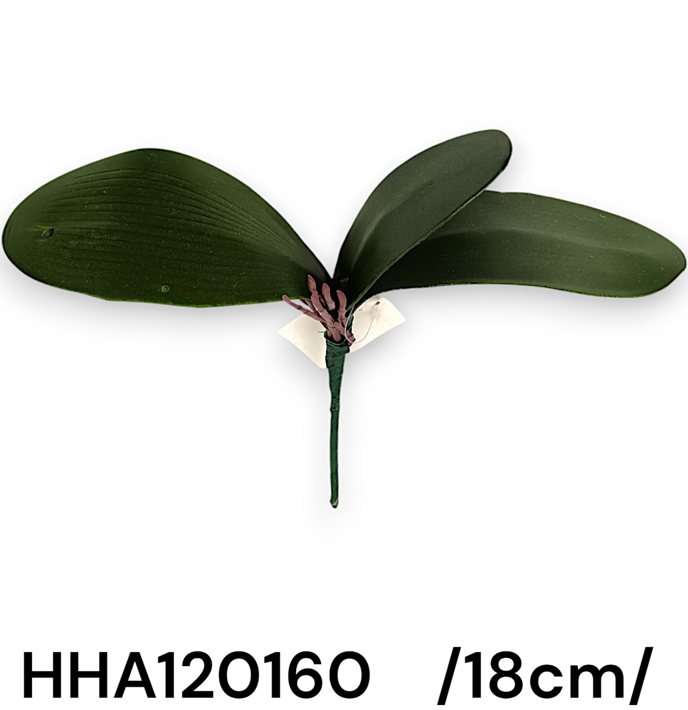 HHA120160