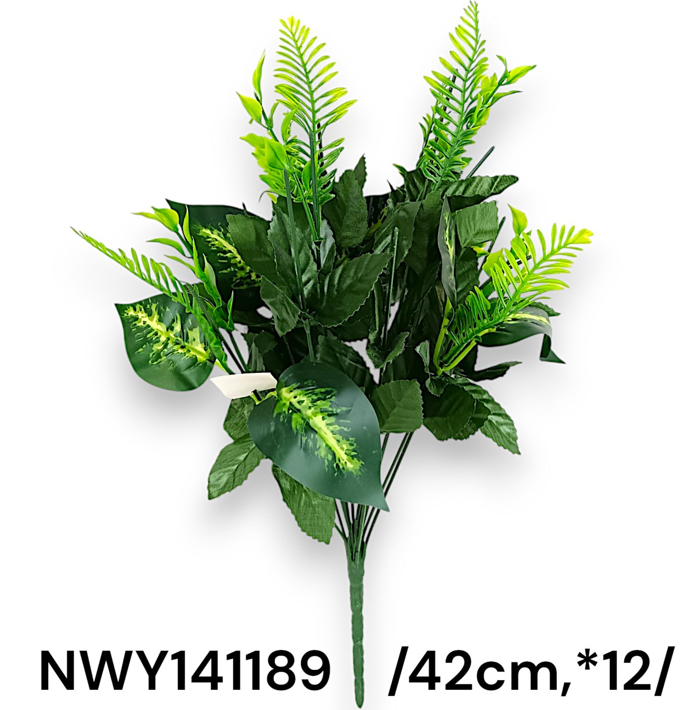 NWY141189