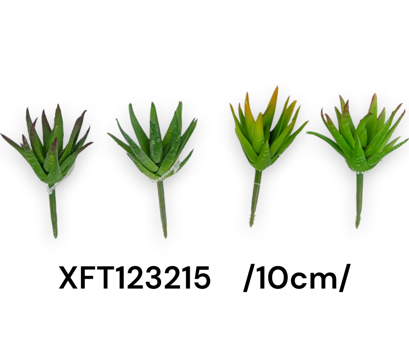 XFT123215
