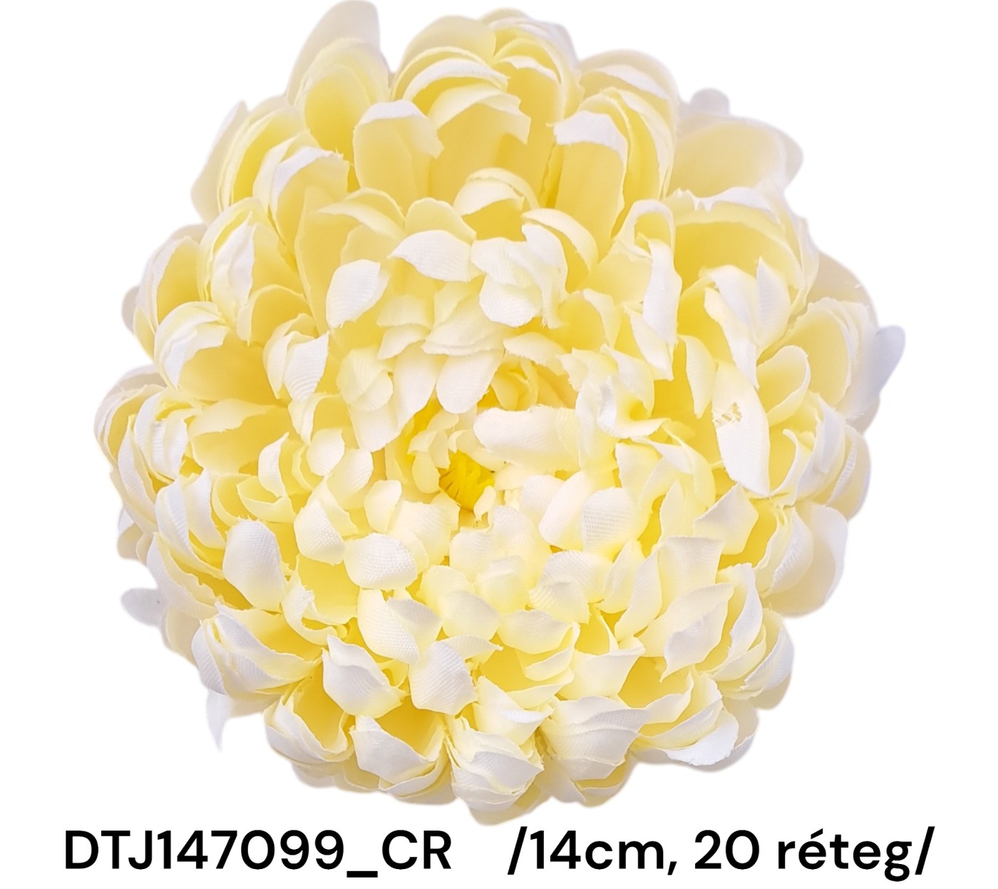 DTJ147099