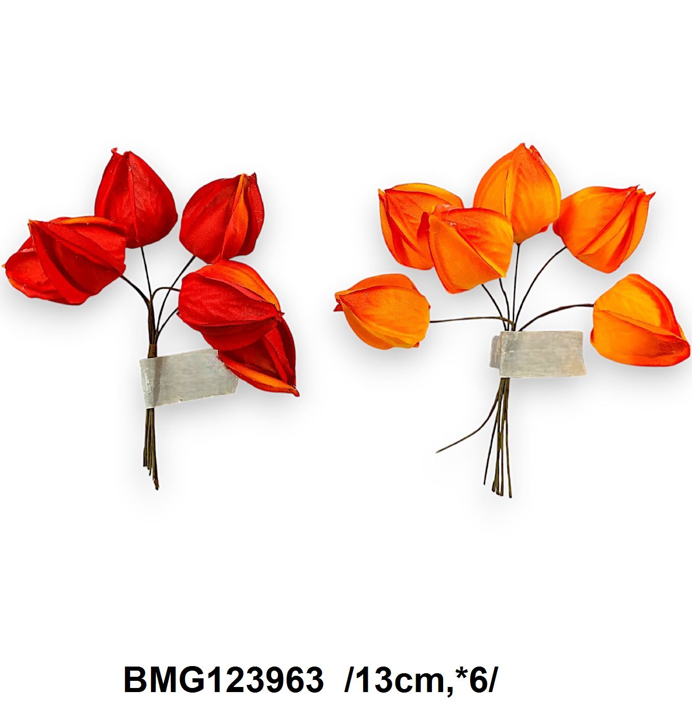 BMG123963