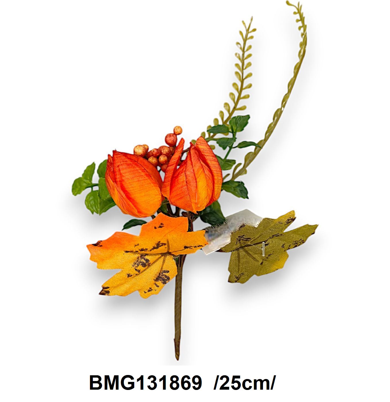 BMG131869