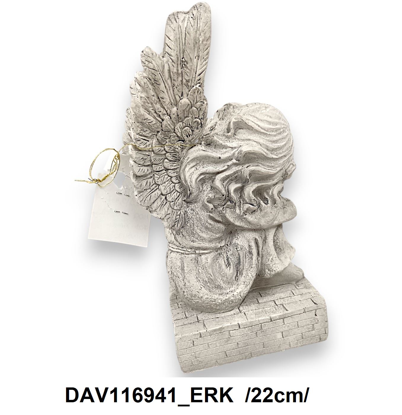 DAV116941_ERK