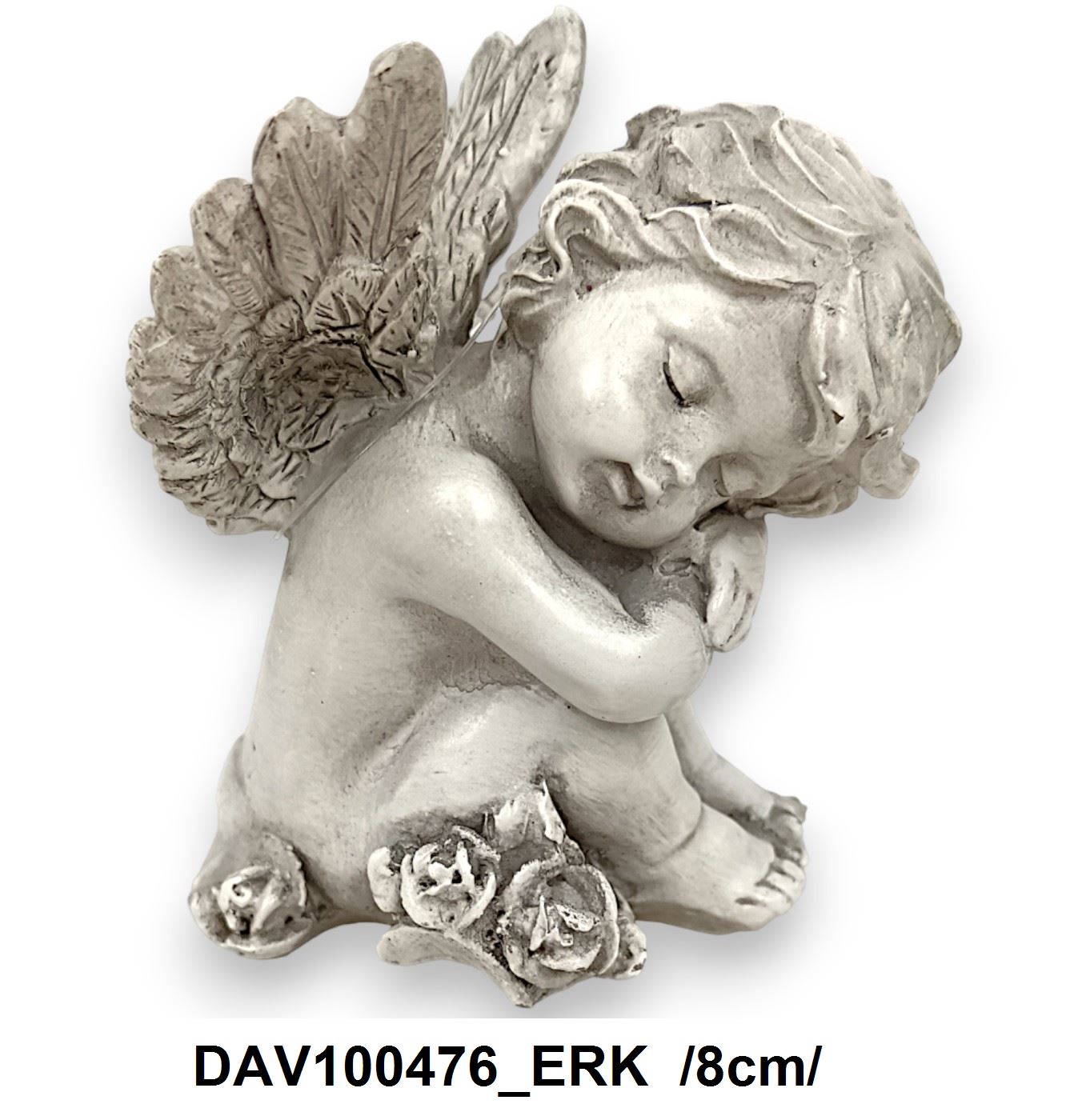 DAV100476_ERK
