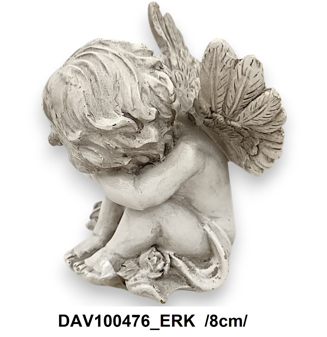 DAV100476_ERK