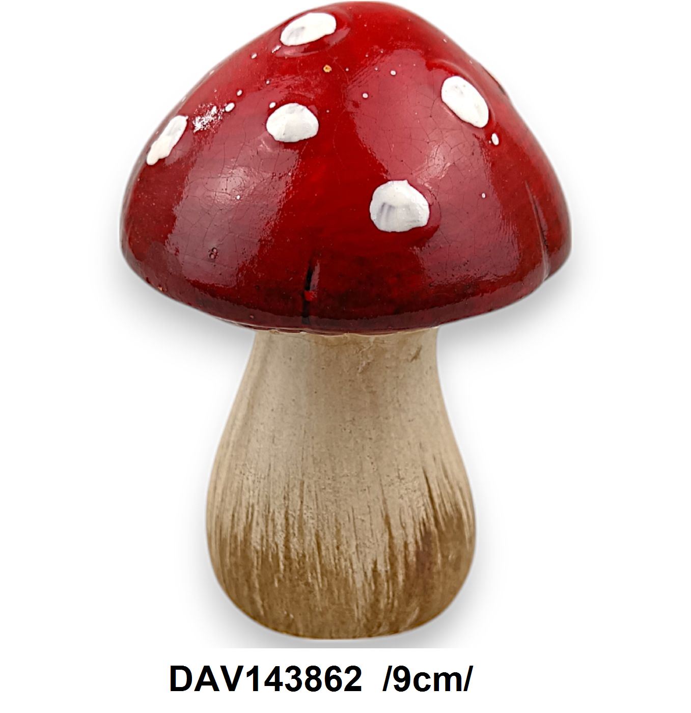 DAV143862