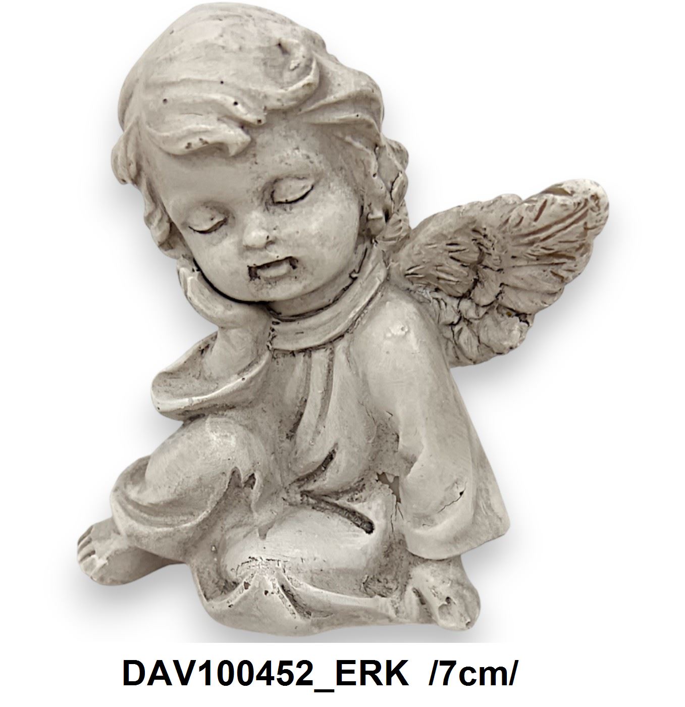 DAV100452_ERK