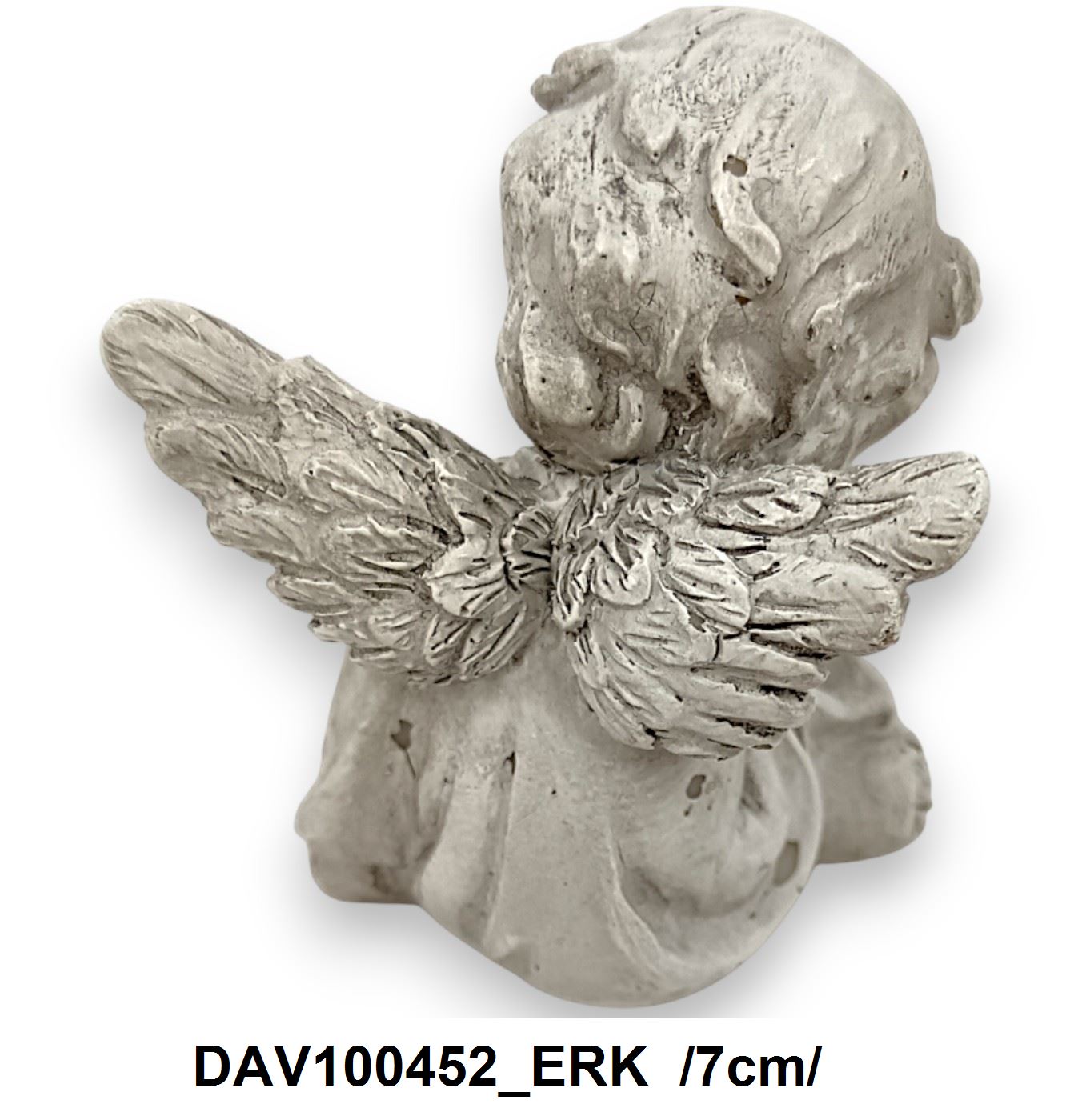 DAV100452_ERK