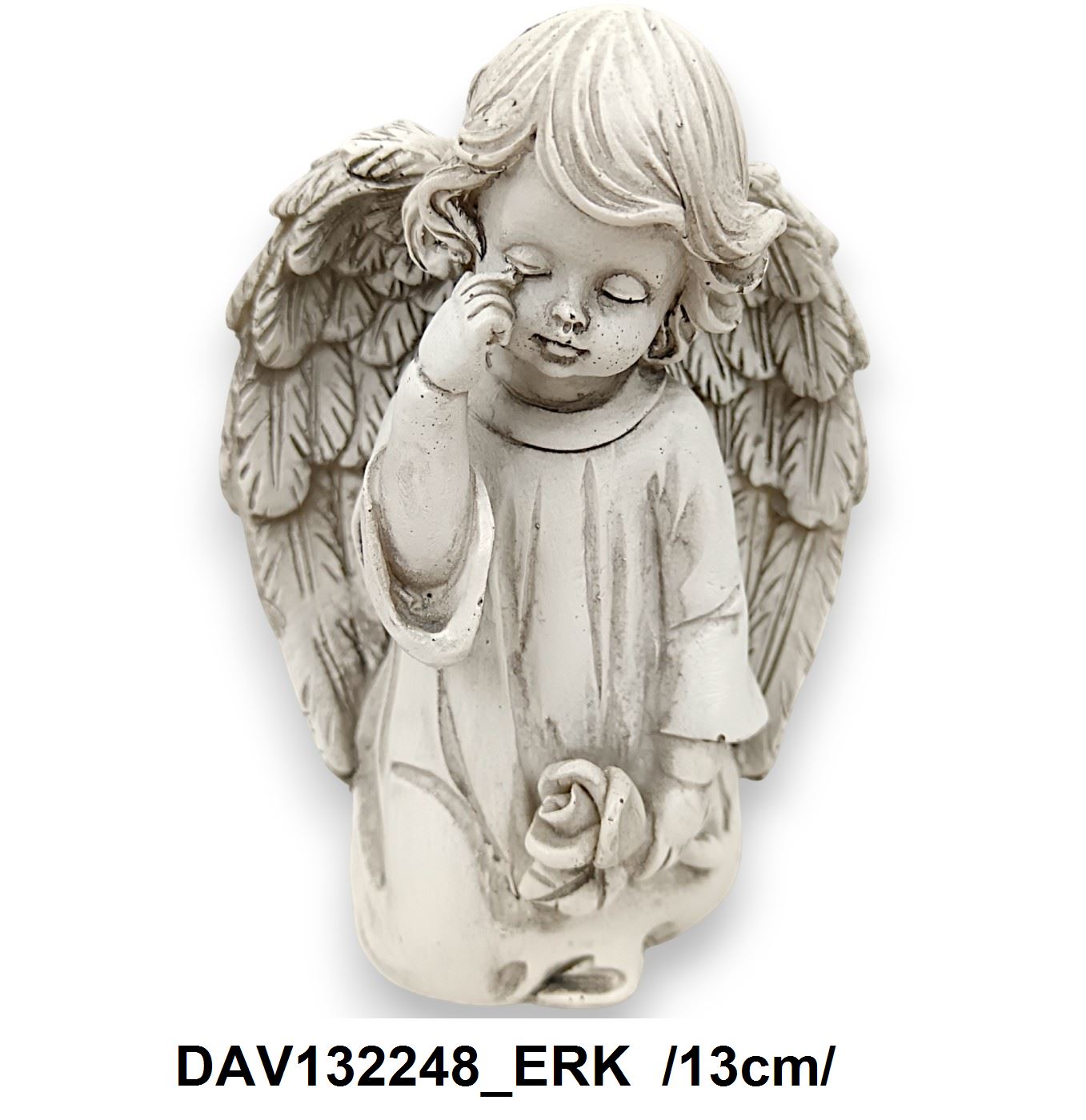 DAV132248_ERK
