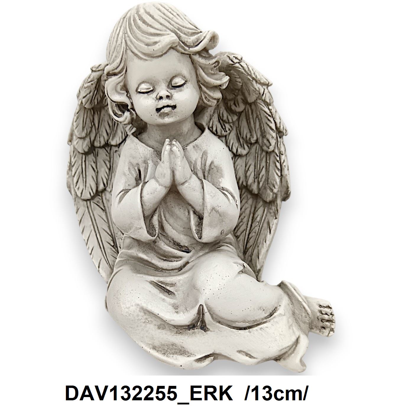 DAV132255_ERK