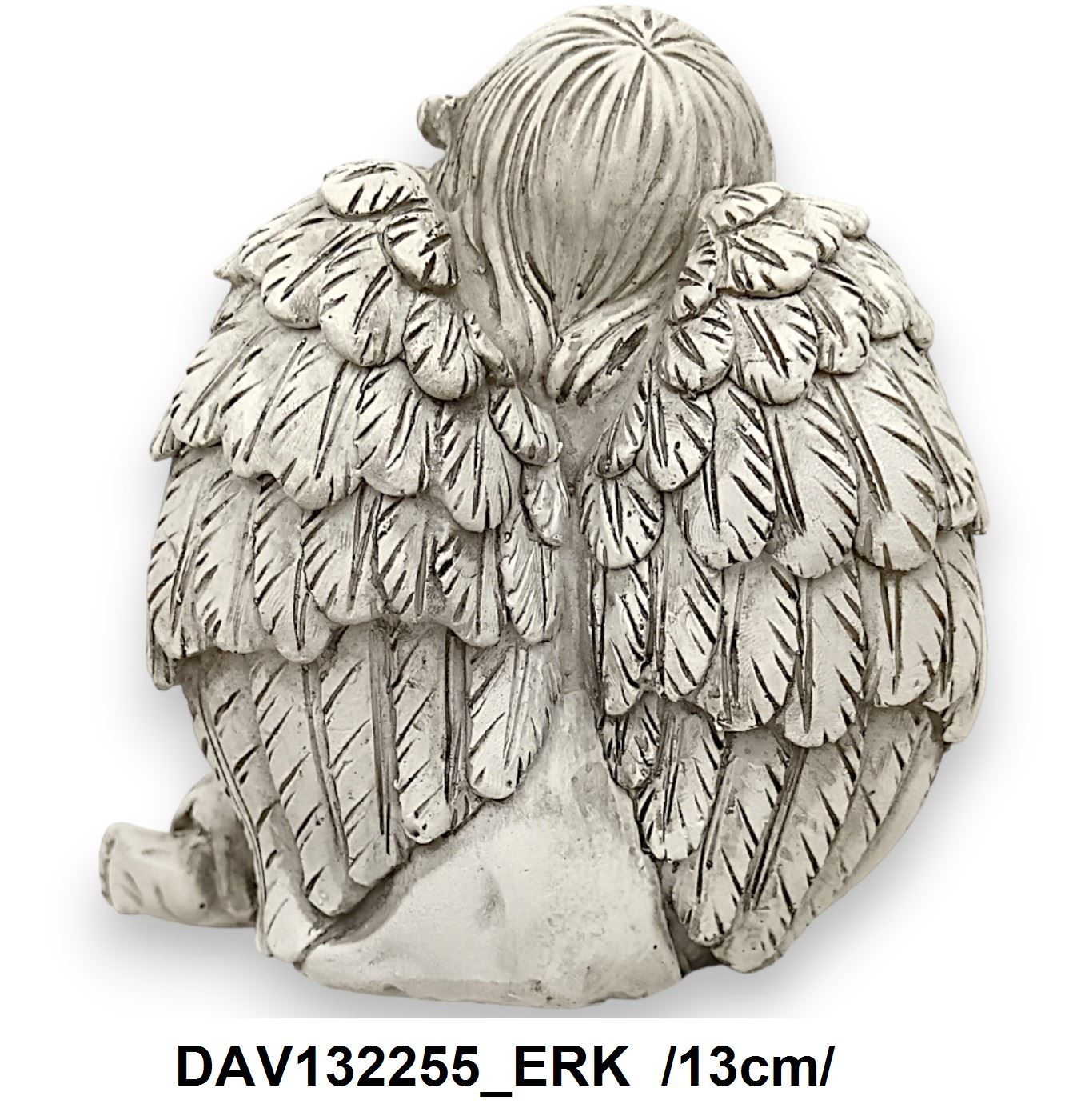 DAV132255_ERK