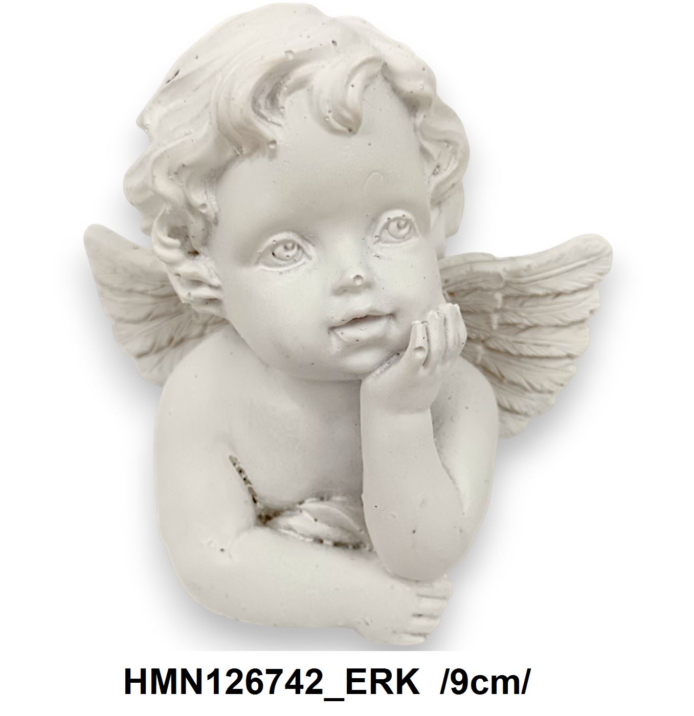 HMN126742_ERK