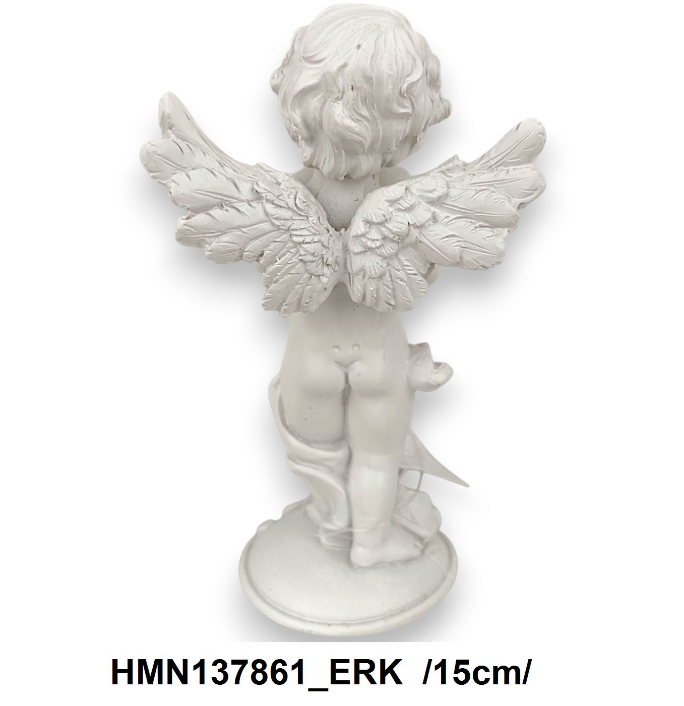 HMN137861_ERK
