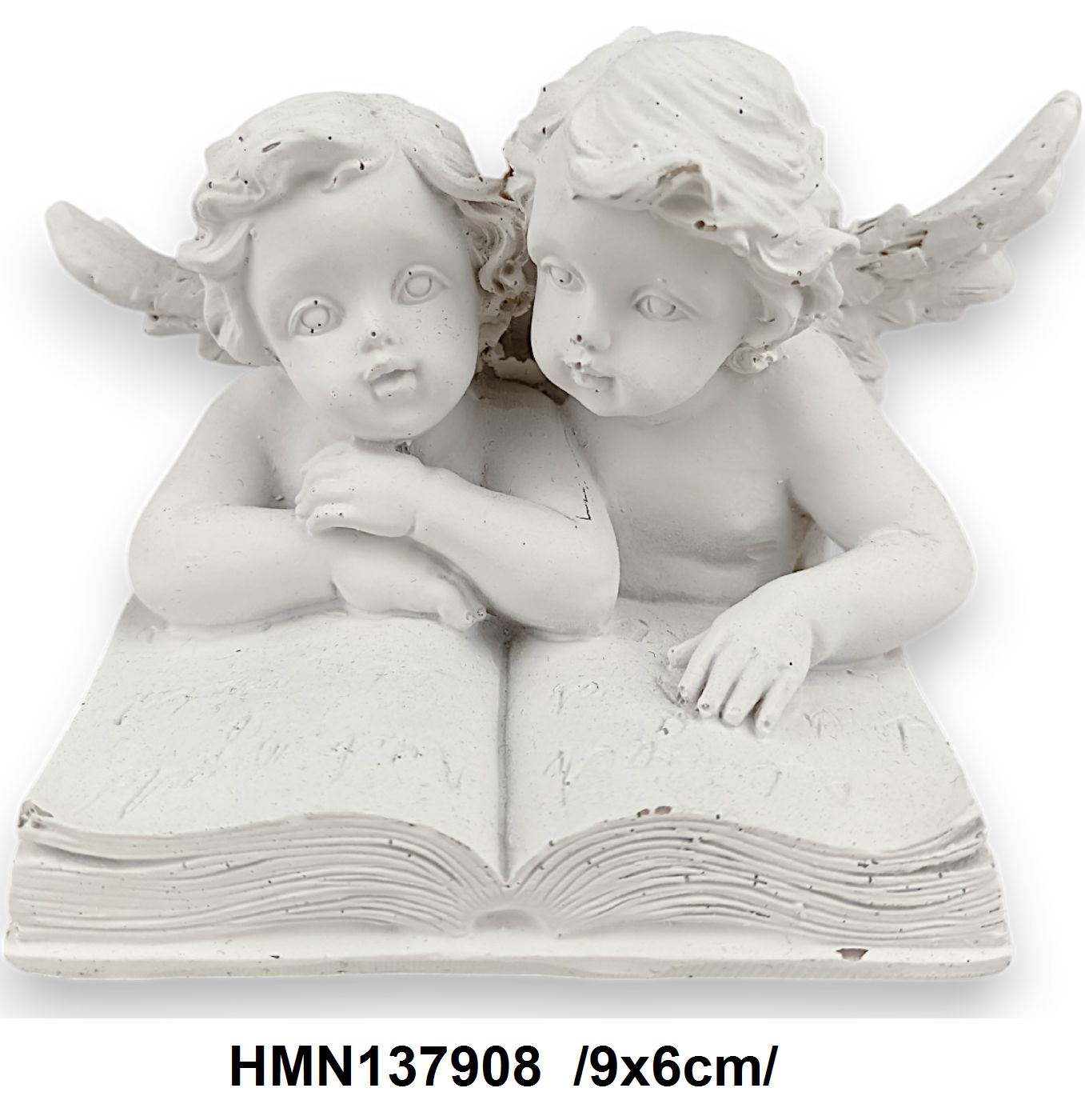 HMN137908