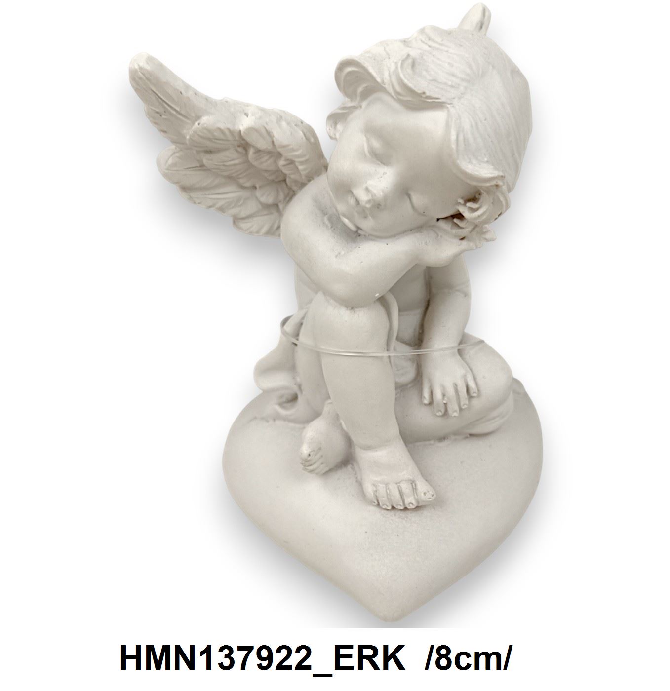 HMN137922_ERK
