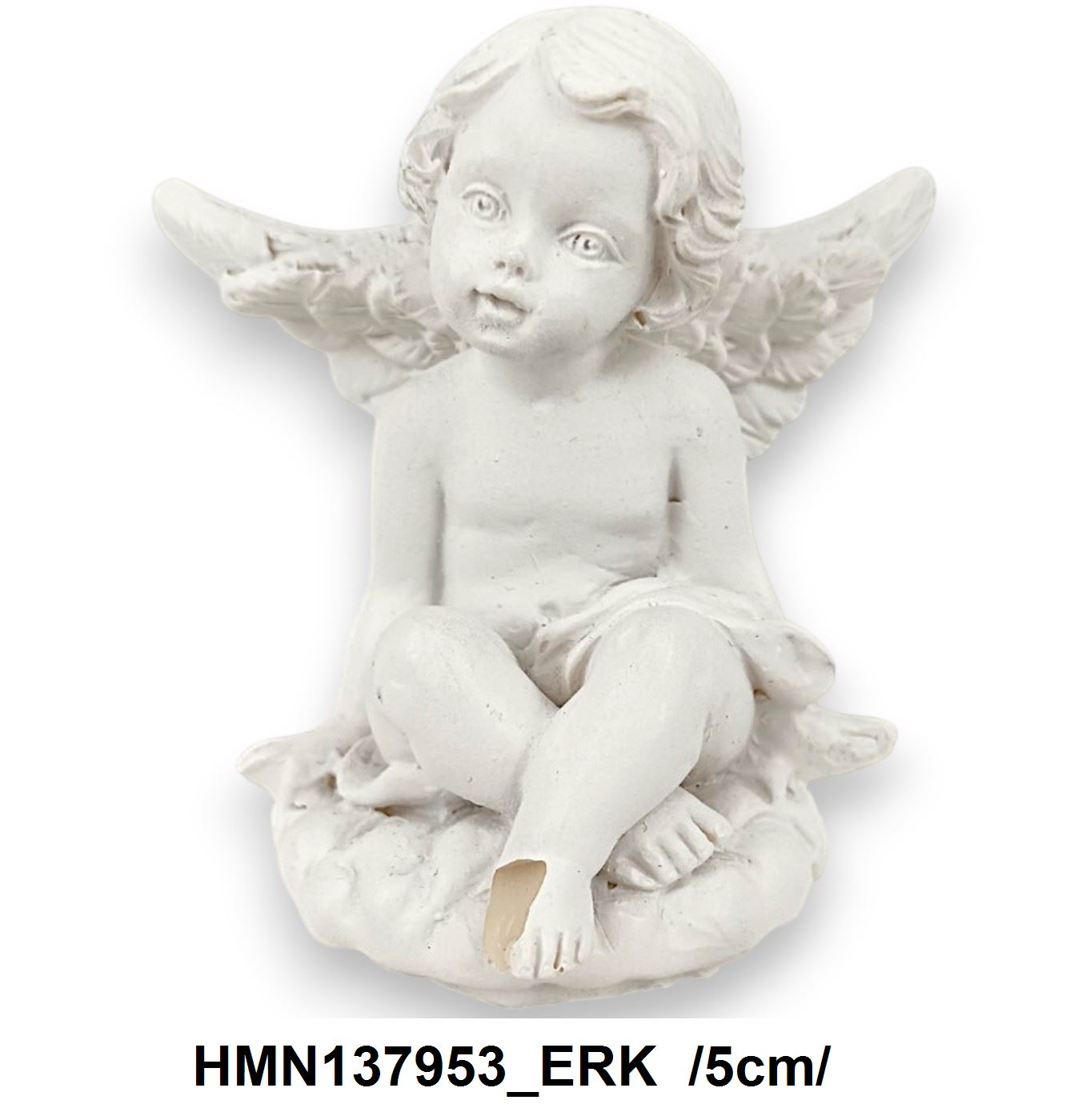 HMN137953_ERK