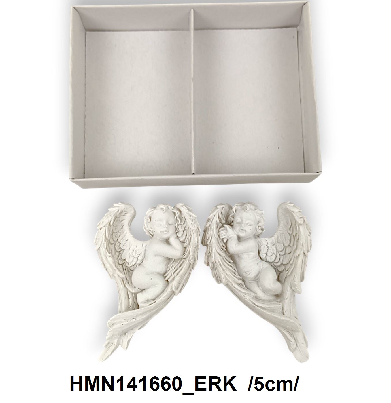 HMN141660_ERK
