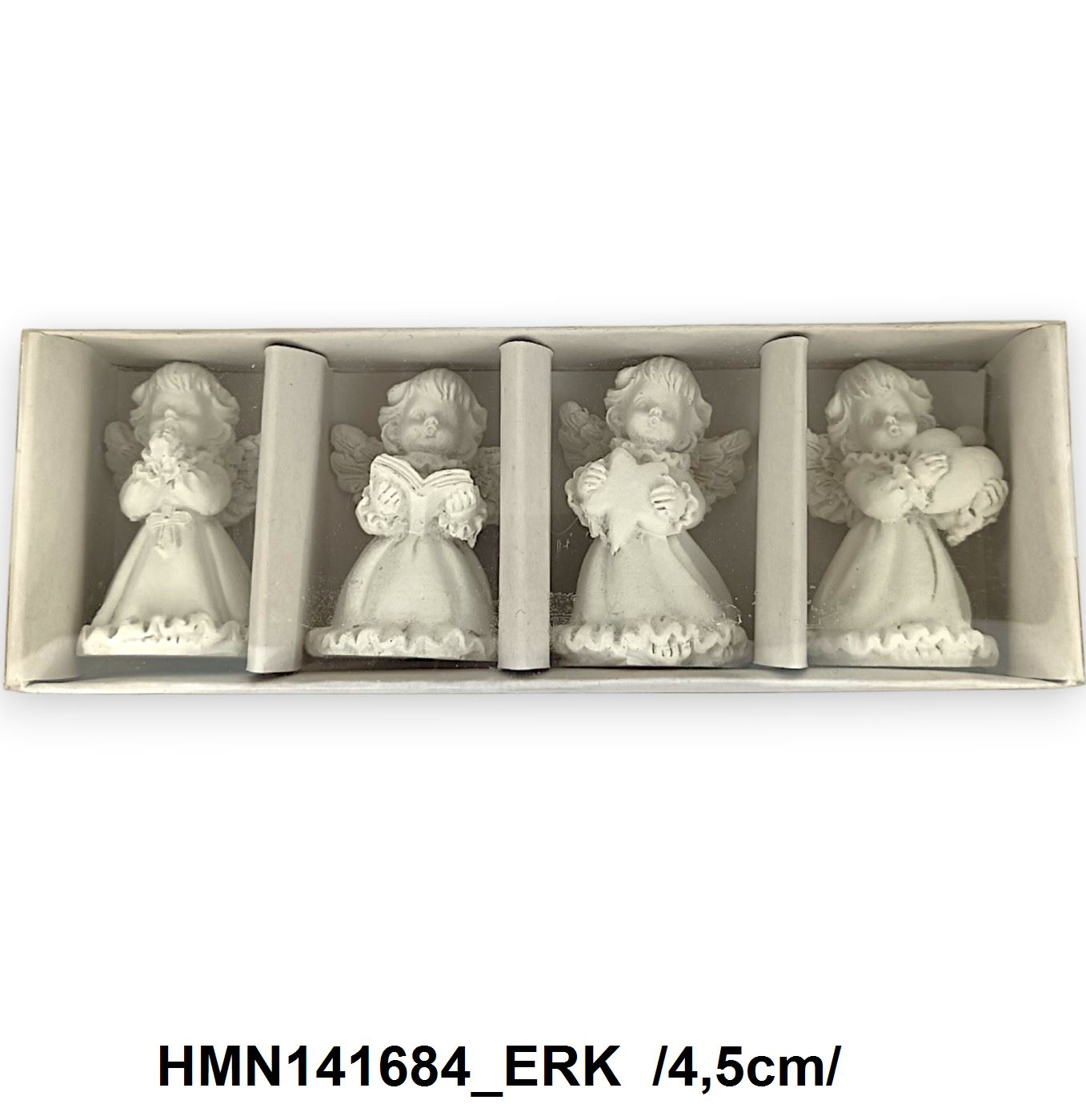 HMN141684_ERK