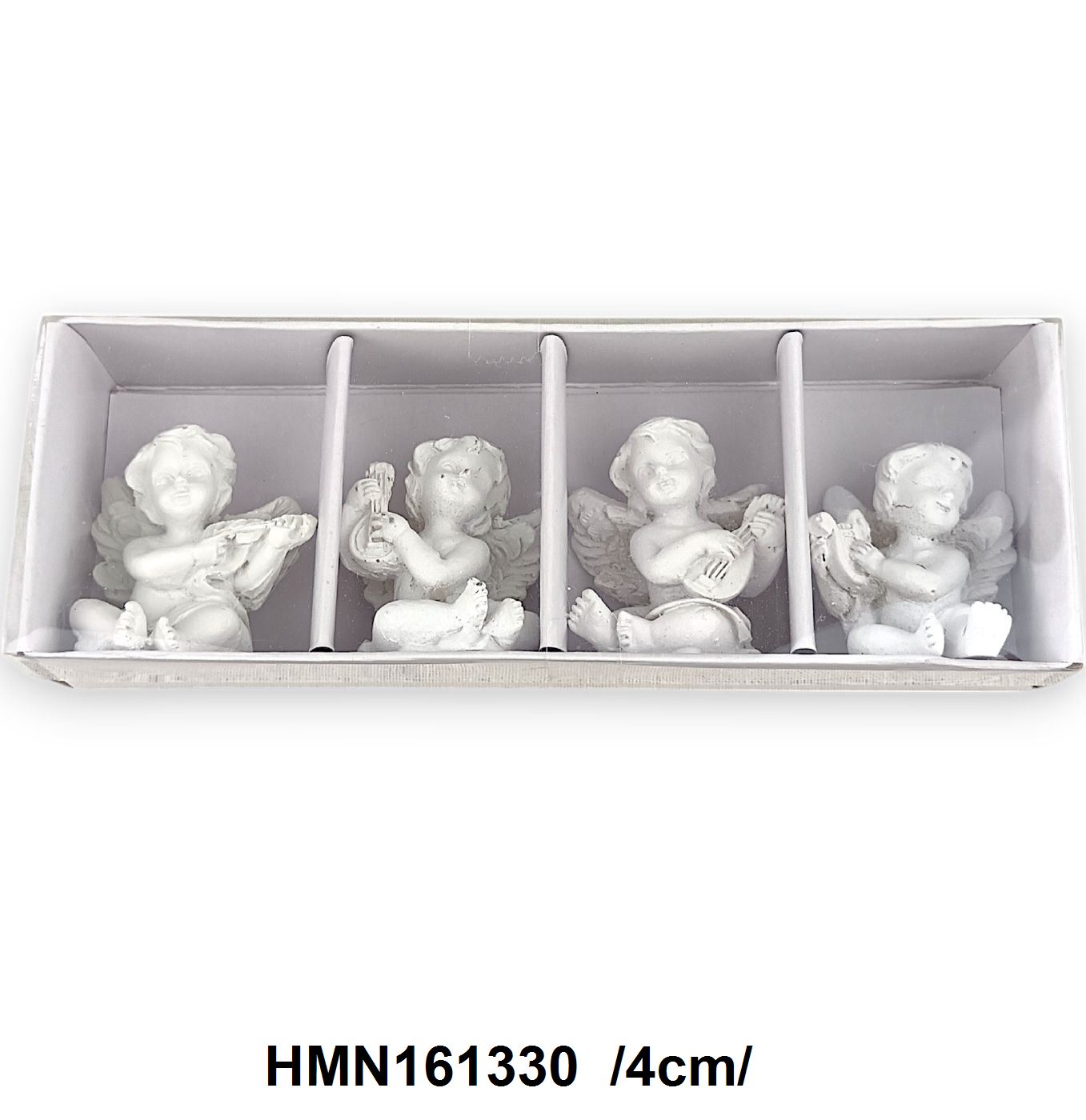 HMN141684_ERK
