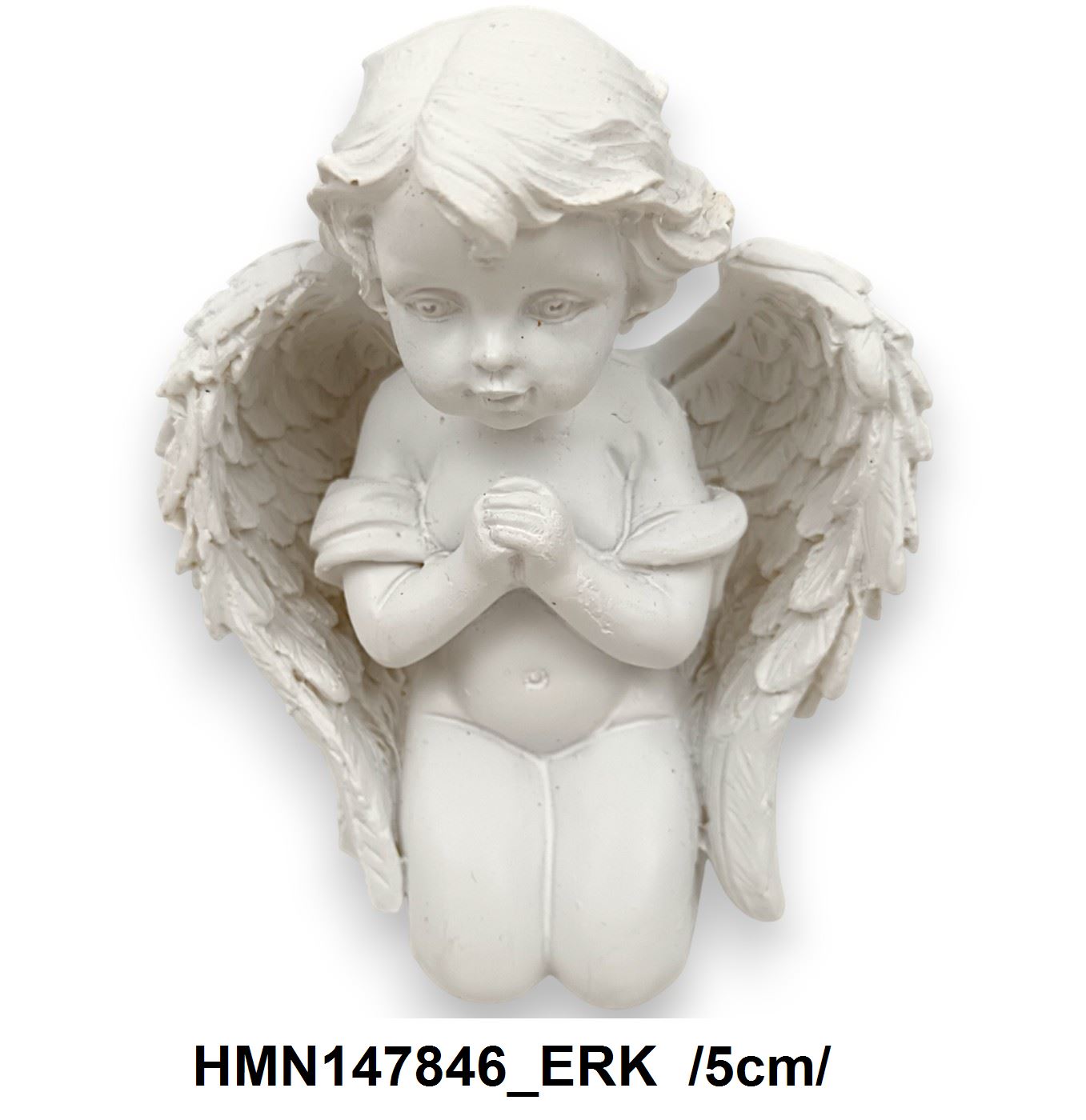 HMN147846_ERK