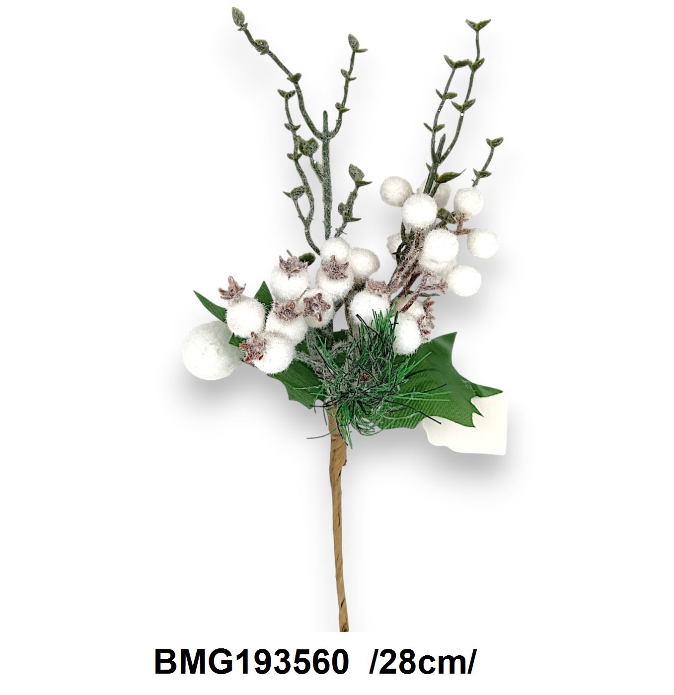 BMG193560