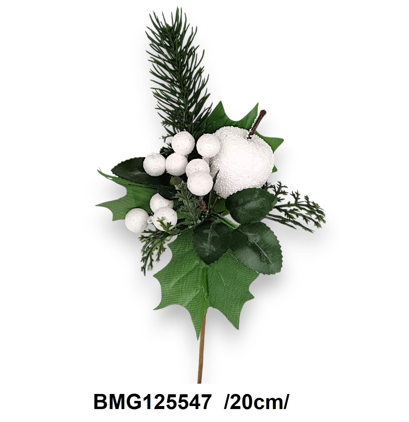 BMG125547