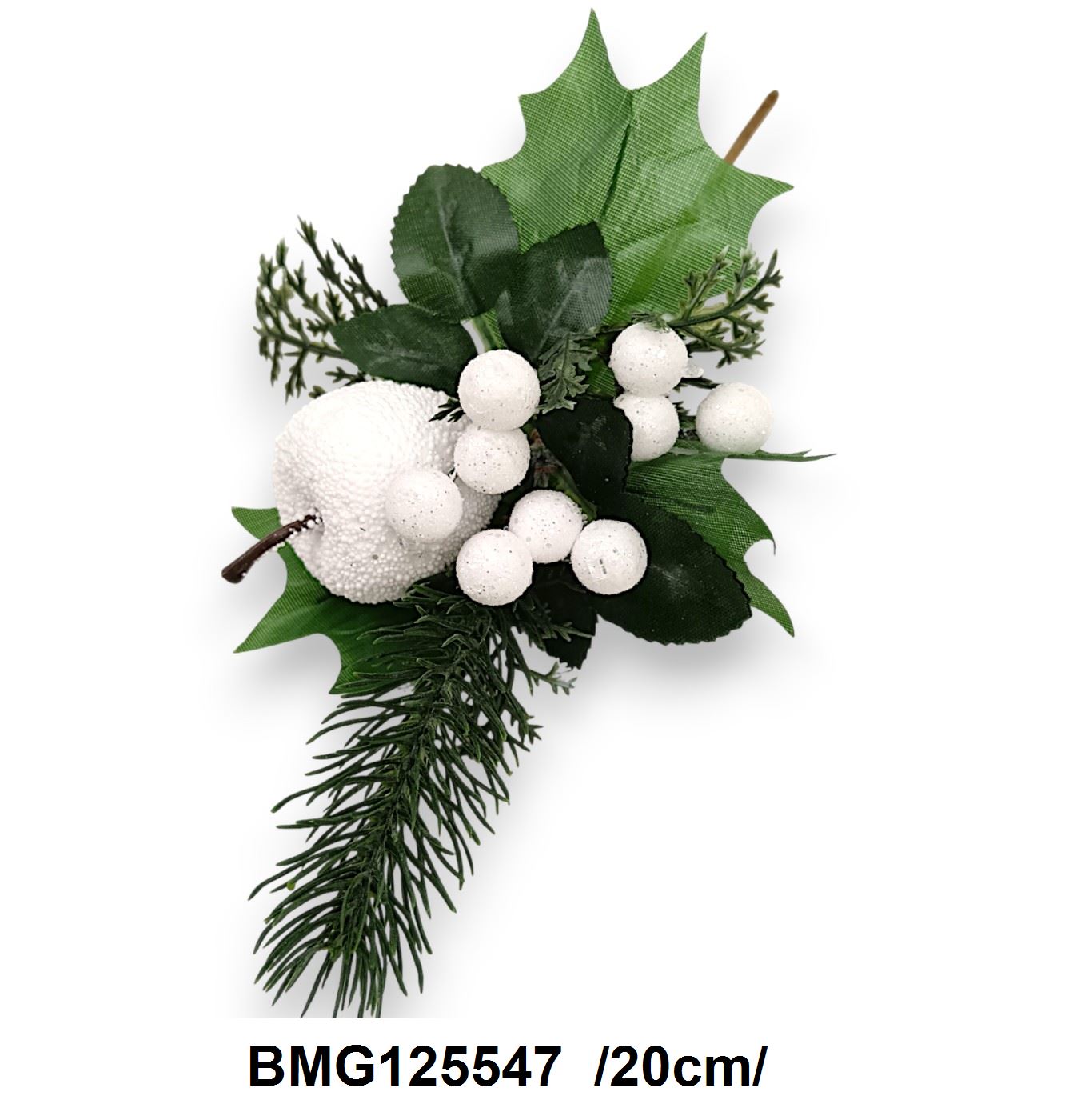 BMG125547