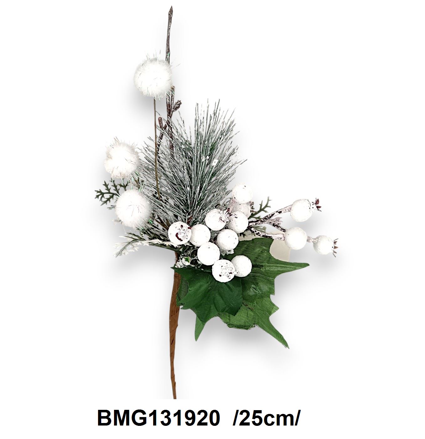 BMG131920