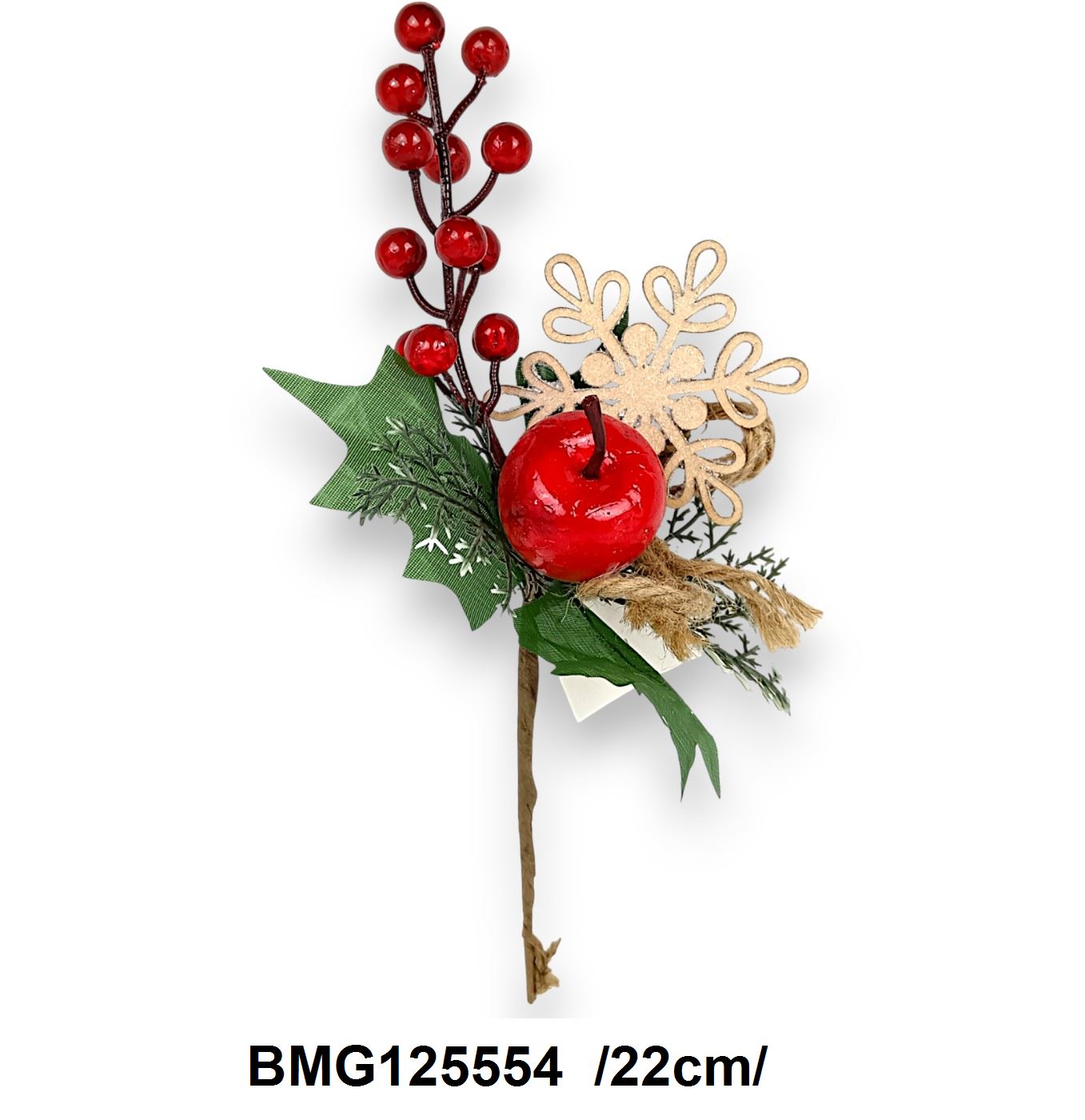 BMG125554