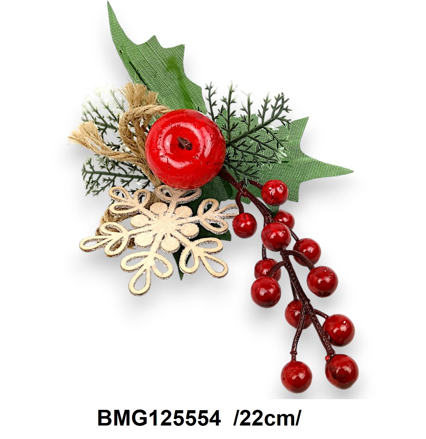 BMG125554