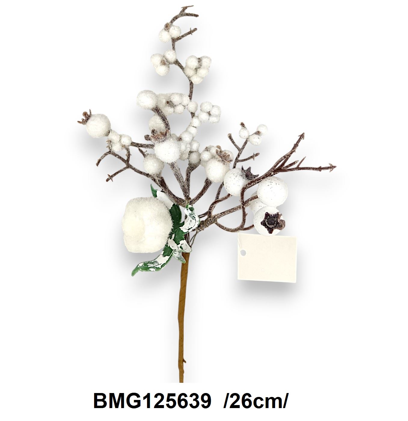 BMG125639