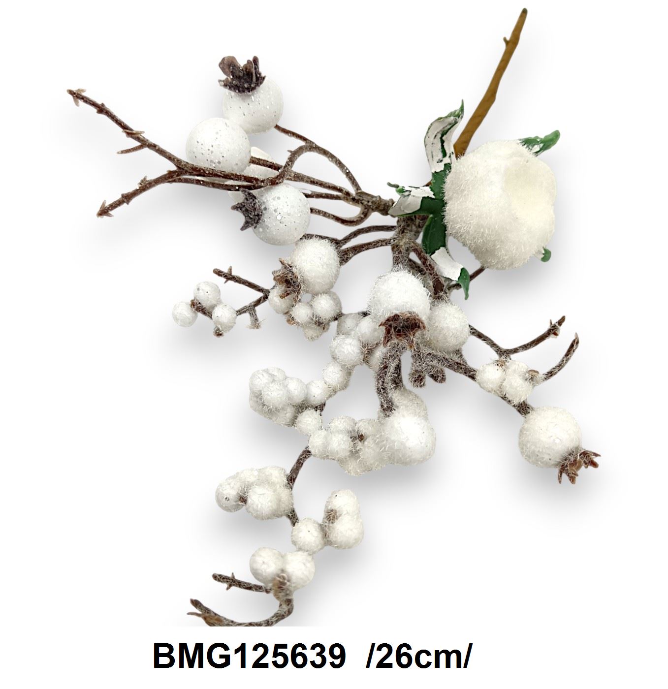 BMG125639
